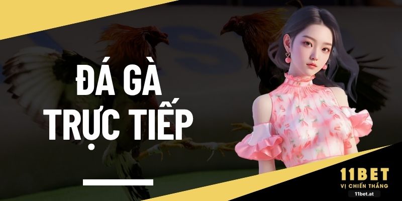 Đá gà trực tiếp