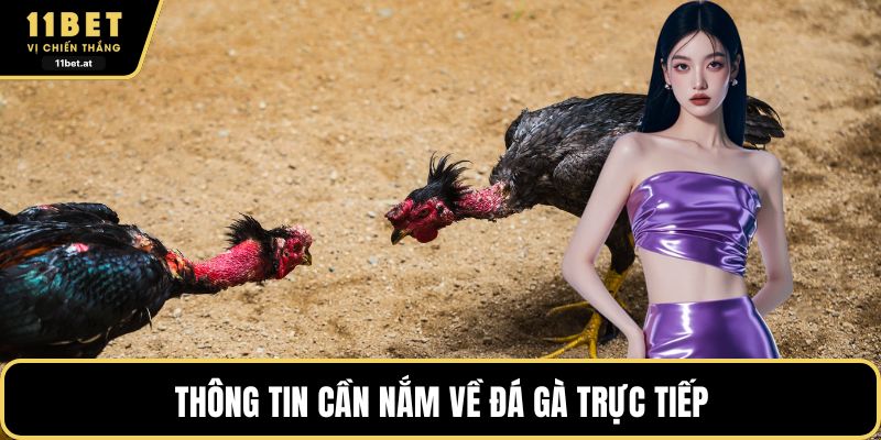 Thông tin cần nắm về đá gà trực tiếp