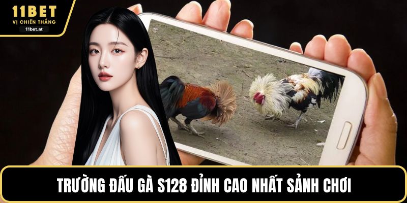 Trường đấu gà S128 đỉnh cao nhất sảnh chơi